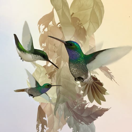 Charming Hummingbird painting